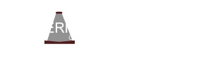 Thermax Group